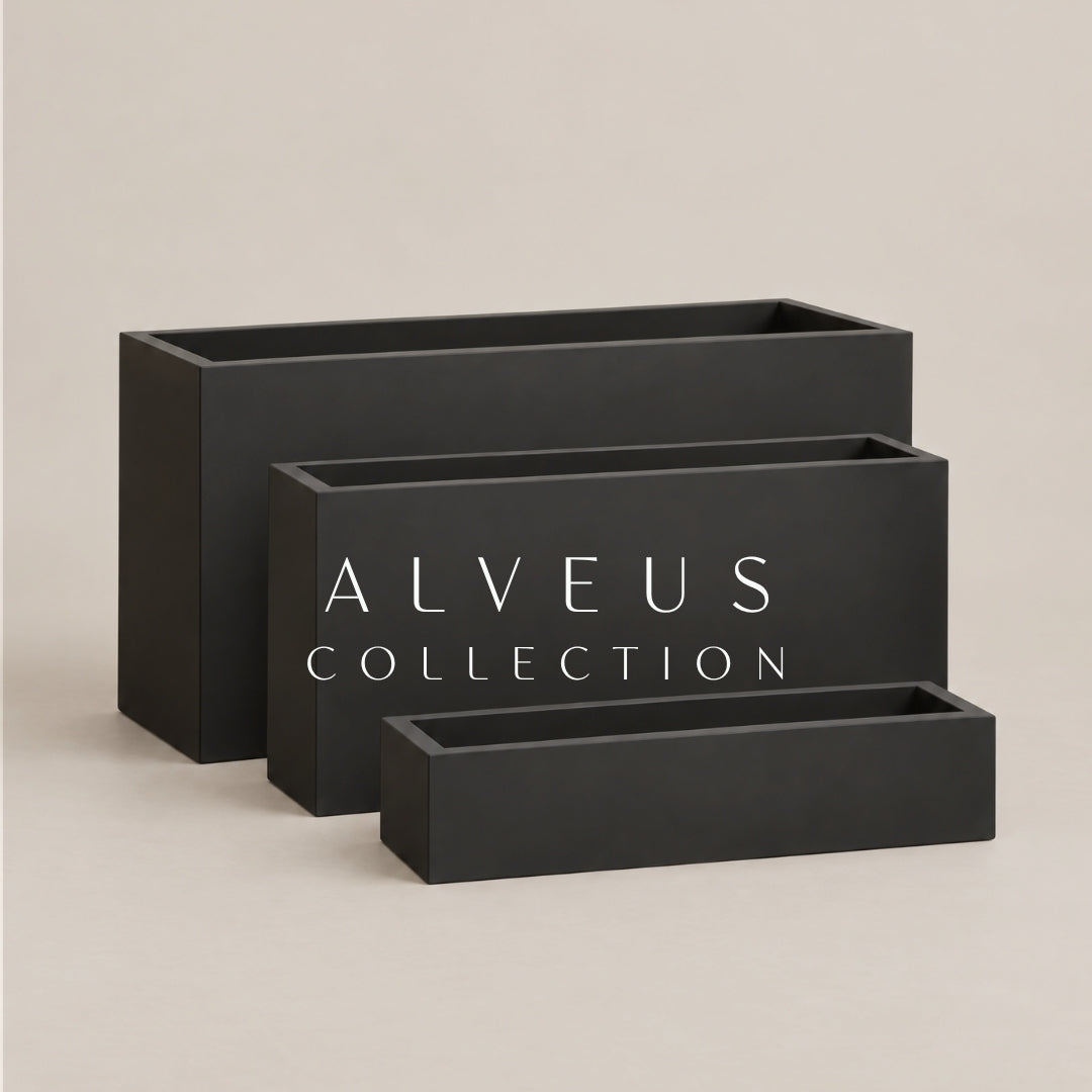 Alveus Troughs